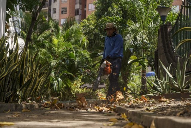 145_jardineria