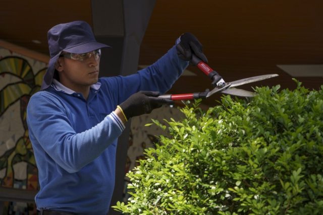 89_jardineria