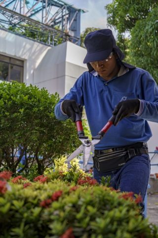 91_jardineria